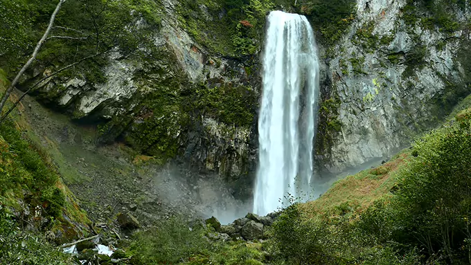 10 Horas de Cascada de Montaña | Sonidos del Bosque de Verano con Cantos de Pájaros | Ruido Blanco Natural para Dormir y Meditar