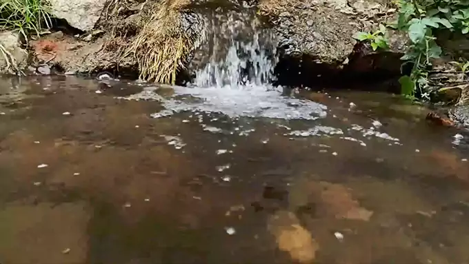 Ruido Blanco de Arroyo Claro de 10 Horas - Sonidos de Agua y Pájaros para Dormir y Concentrarse