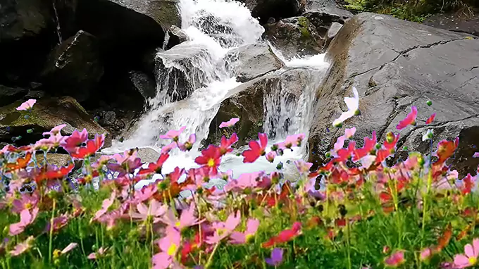 10 Horas de Sonidos de Cascada | Agua Fluyendo sobre Rocas Musgosas | Ruido Blanco Natural para Dormir y Relajación