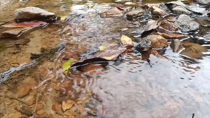 Ruido Blanco de Arroyo de 10 Horas - Sonidos Estables de Agua para Dormir y Meditar